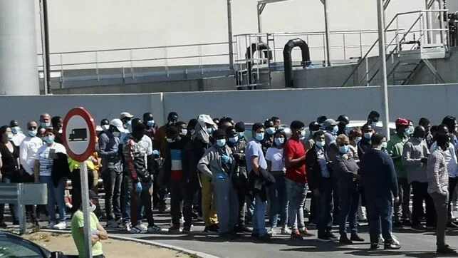 Cierre del matadero